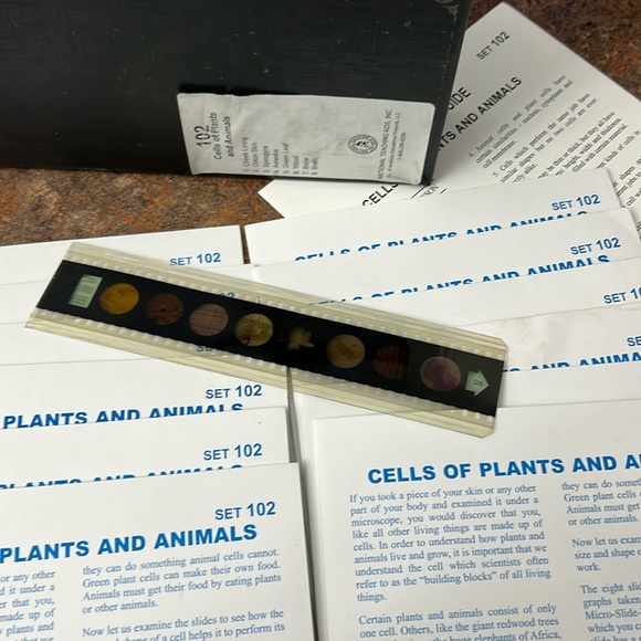 12 Science Microscope slides Cells of Plants & Animals Set 102 Teaching - Picture 1 of 11